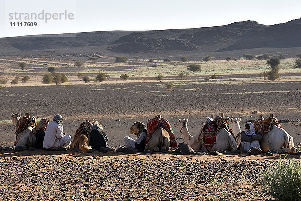 Afrika  Sudan  Mussawarat  Nomade mit Dromedar
