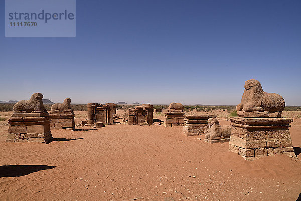 Afrika  Sudan  Naga  Tempel des Amun