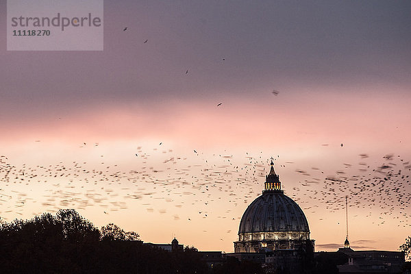 Italien  Latium  Rom  Vogelschwarm am Himmel