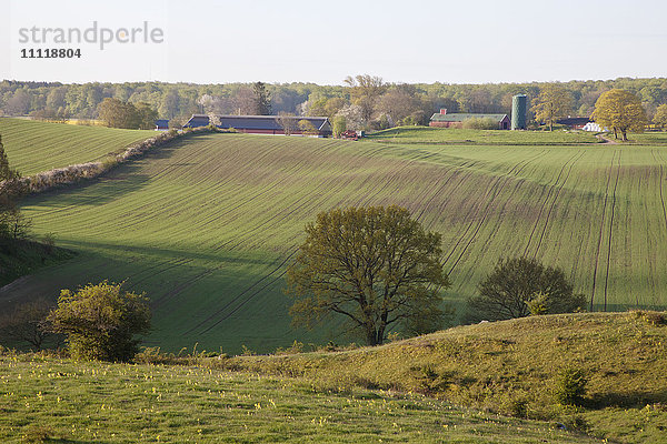 Ländliche Landschaft