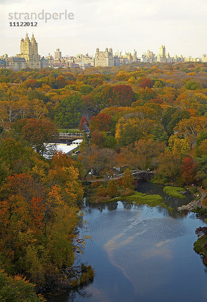 Luftaufnahme eines Stadtparks  New York  New York  Vereinigte Staaten