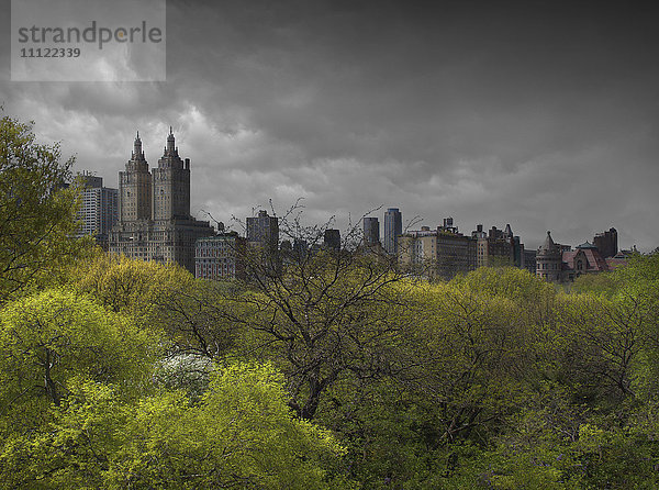 Stadtpark  Wolkenkratzer und bewölkter Himmel  New York  New York  Vereinigte Staaten