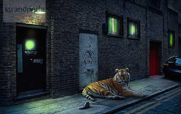 Illustration eines Tigers  der auf einer Stadtstraße liegt