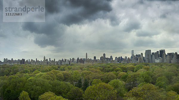 Stadtpark und Stadtsilhouette  New York  New York  Vereinigte Staaten