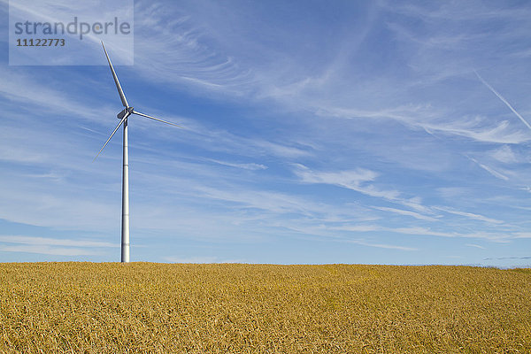 Windkraftanlage in ländlicher Umgebung
