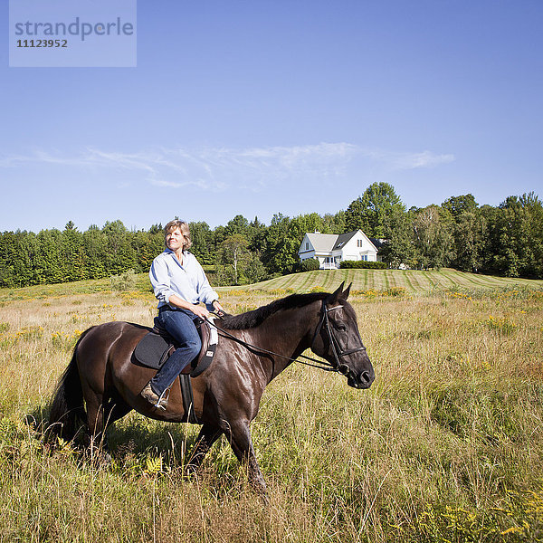 Kaukasische Frau reitet auf einem Pferd im Feld