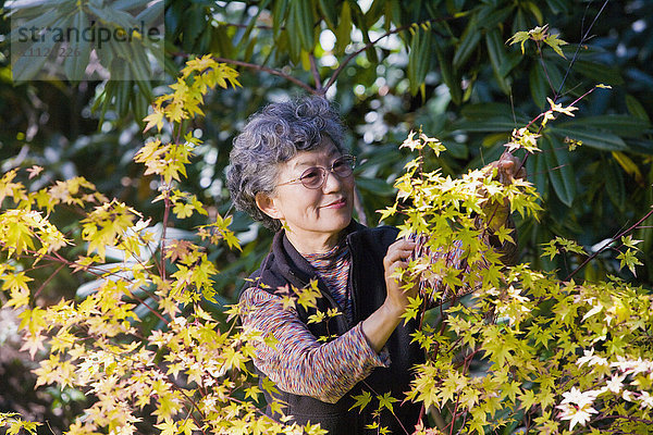 Ältere Japanerin bei der Gartenarbeit