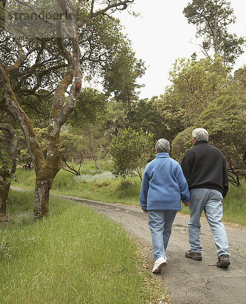 Älteres Paar hält sich an den Händen und geht im Freien spazieren