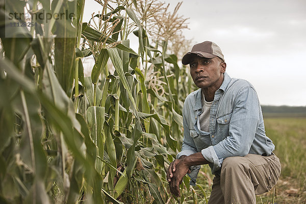 Afroamerikanischer Bauer bei der Feldarbeit