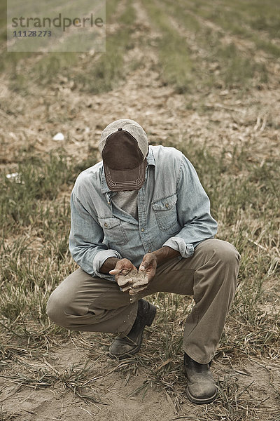Afroamerikanischer Landwirt prüft Schmutz auf dem Feld