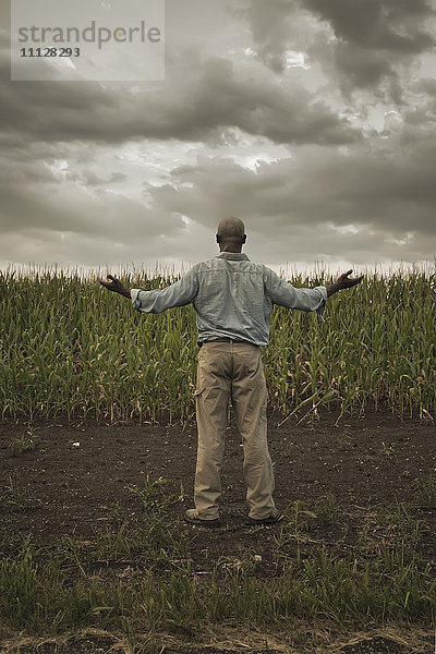 Afroamerikanischer Bauer steht mit ausgestreckten Armen auf einem Feld
