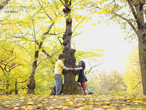 Hispanischer Bruder und Schwester spielen im Herbst im Freien