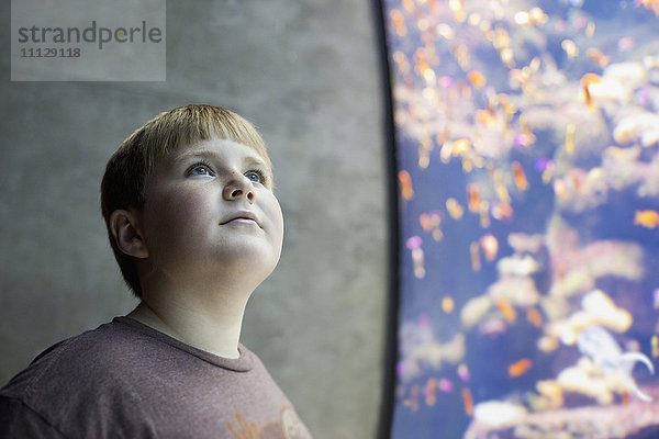 Ernster Junge besucht Aquarium