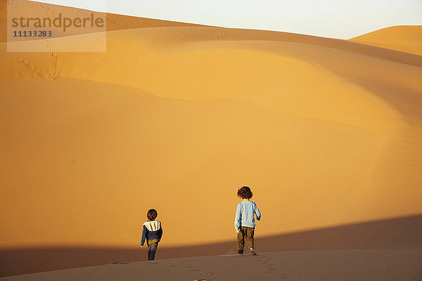 Gemischtrassige Brüder wandern in der Wüste