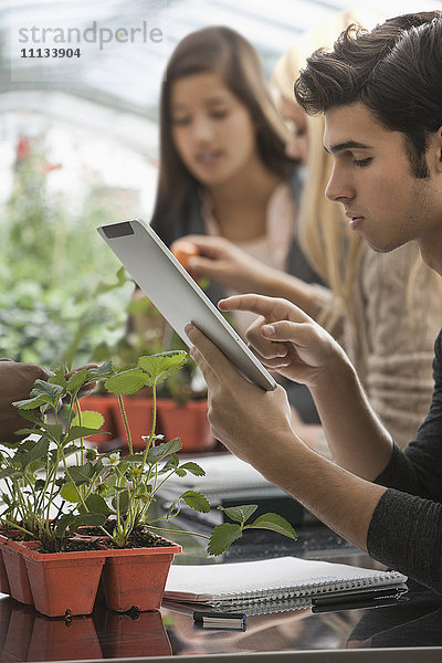 Schüler arbeiten im Gewächshaus mit digitalem Tablet