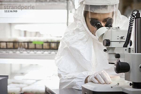 Wissenschaftler aus dem Nahen Osten mit Mikroskop im Labor