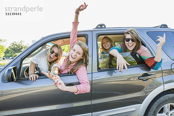 Verspielte Freunde im Auto