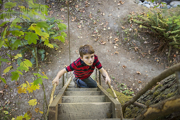 Kaukasischer Junge klettert auf Leiter zu Baumhaus
