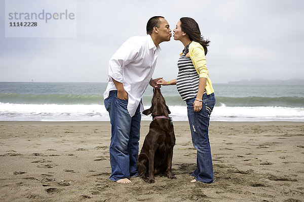 Ehemann küsst schwangere Frau am Strand  während der Hund zusieht