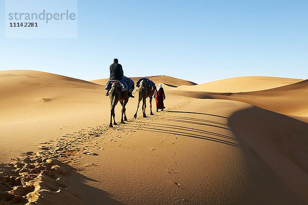Person in der Wüste mit Kamel