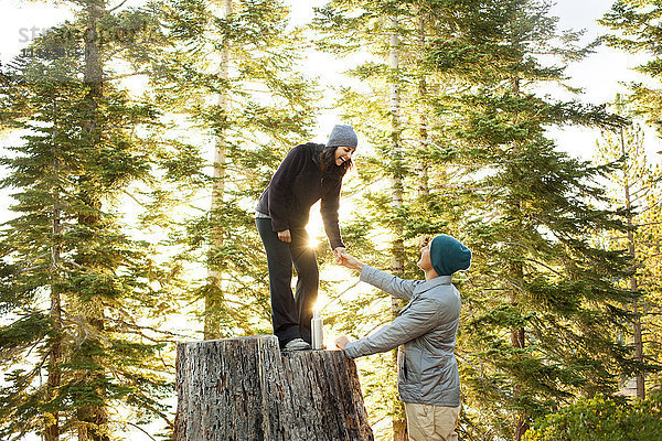Ehepaar spielt auf einem Baumstumpf im Wald
