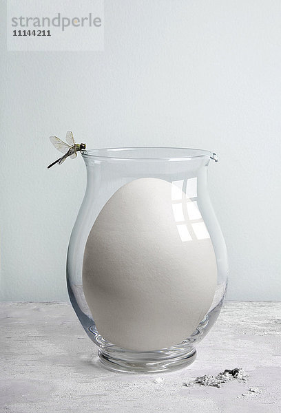 Libelle auf Glaskrug mit übergroßem Ei sitzend