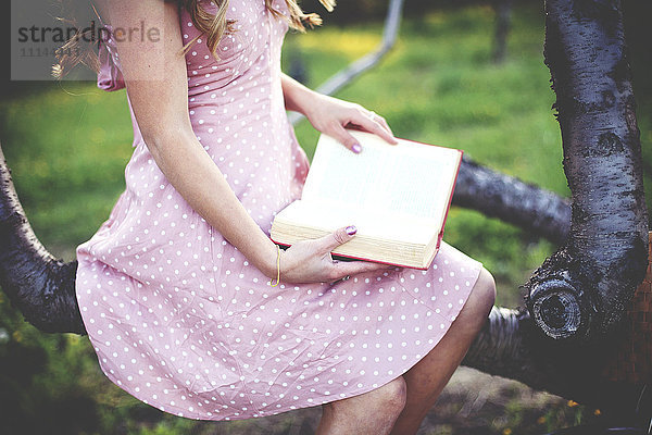 Nahaufnahme einer Frau  die in einem Baum ein Buch liest