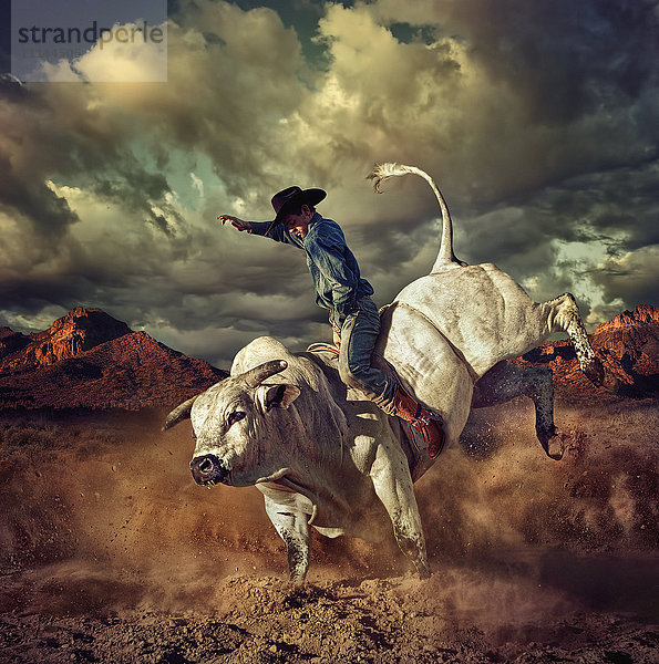 Kaukasischer Cowboy reitet bockenden Stier in der Wüste