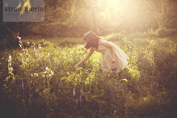 Mädchen pflückt Blumen auf einem ländlichen Feld