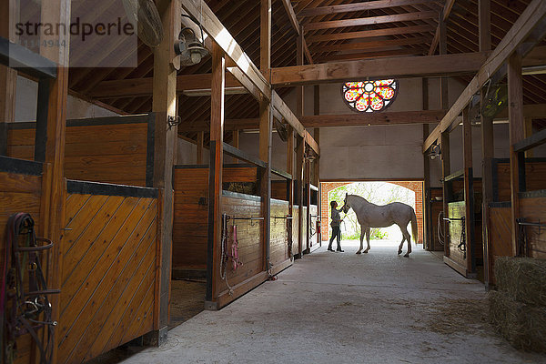 Kaukasisches Mädchen geht mit Pferd im Stall spazieren