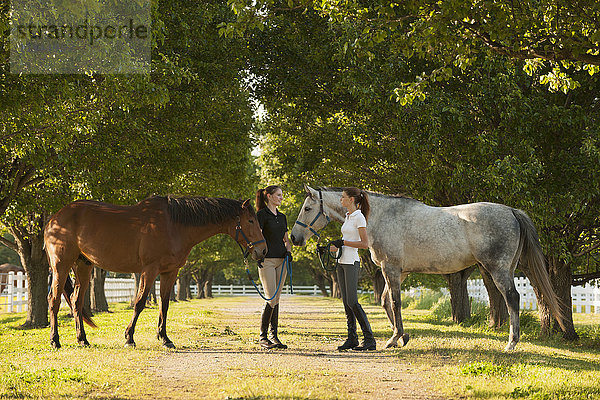 Kaukasische Mädchen gehen mit Pferden auf einem Feldweg