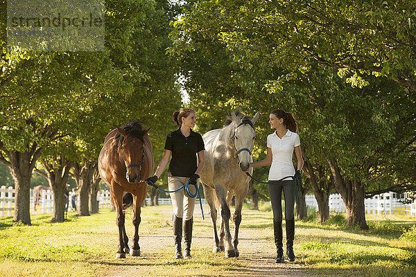 Kaukasische Mädchen gehen mit Pferden auf einem Feldweg