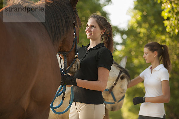 Kaukasische Mädchen streicheln Pferde in ländlicher Landschaft