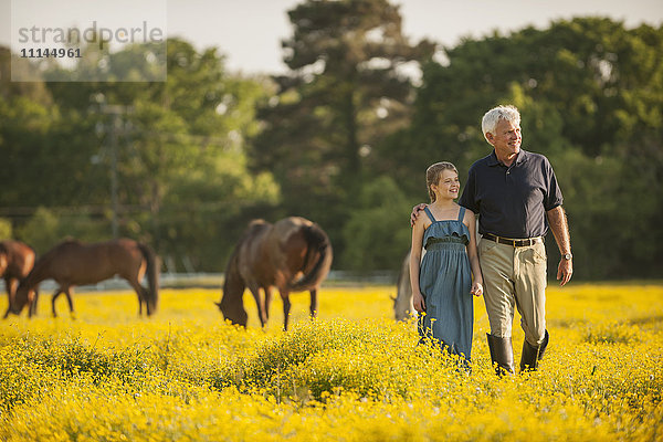 Kaukasischer Mann und Enkelin auf einem Feld mit Pferden