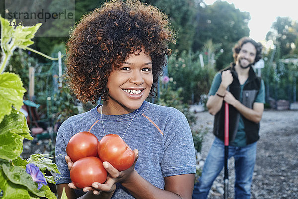 Gemischtrassige Frau pflückt Tomaten im Garten