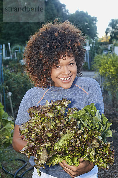 Gemischtrassige Frau pflückt Kopfsalat im Garten