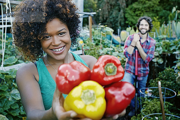 Gemischtrassige Frau pflückt Paprika im Garten