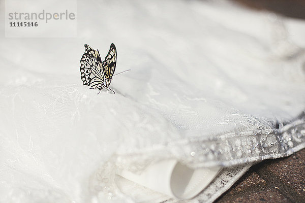 Nahaufnahme eines Schmetterlings auf einem Hochzeitskleid