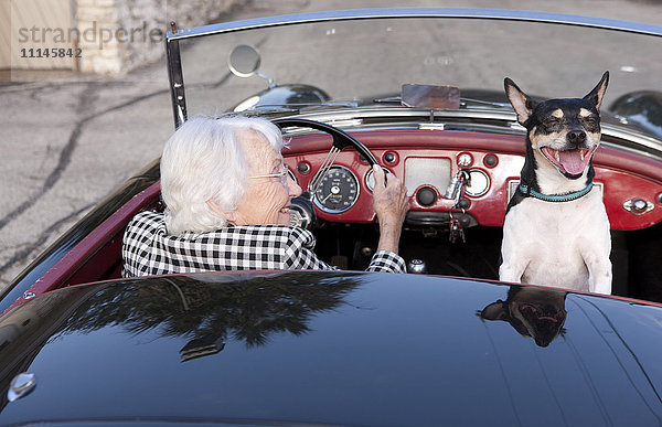 Ältere Frau fährt Cabrio mit Hund