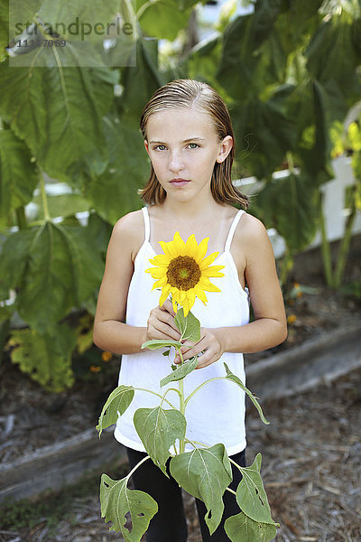 Nahaufnahme eines Mädchens  das eine Sonnenblume im Garten hält