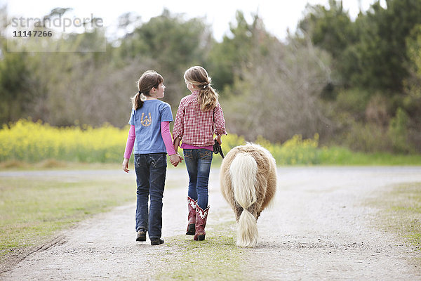 Kaukasische Mädchen gehen Pony auf Feldweg