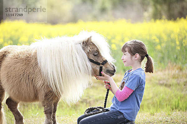 Kaukasisches Mädchen streichelt Pony in ländlichem Feld