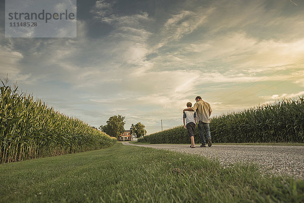 Kaukasischer Vater und Sohn gehen auf einem Feldweg durch ein Maisfeld