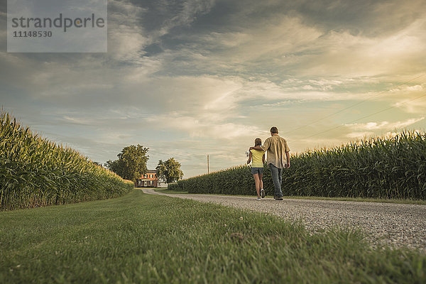 Kaukasischer Vater und Tochter gehen auf einem Feldweg durch ein Maisfeld