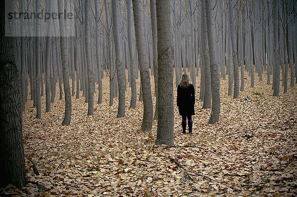 Kaukasische Frau im Herbstwald stehend