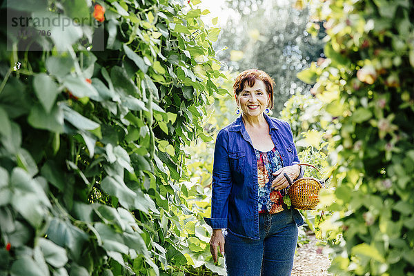 Kaukasische Frau pflückt Gemüse im Garten