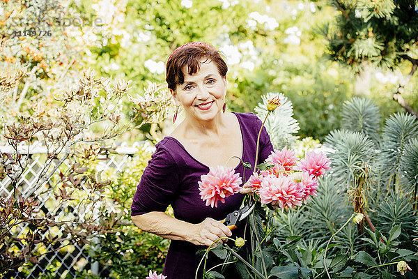 Kaukasische Frau pflückt Blumen im Garten