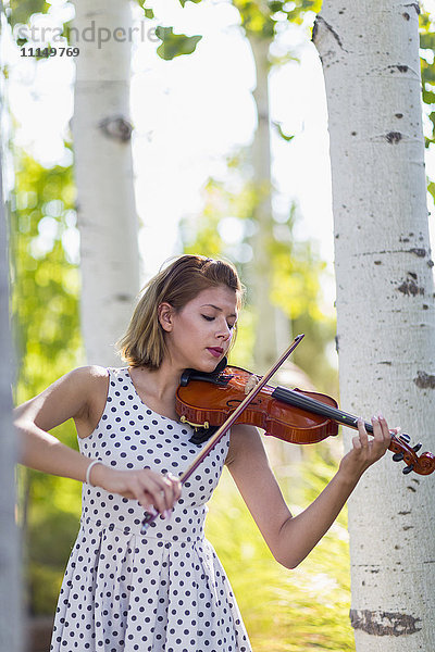 Gemischtrassiger Musiker spielt Geige im Freien