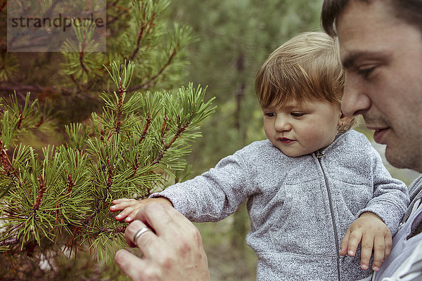 Vater und Tochter untersuchen einen Tannenbaum