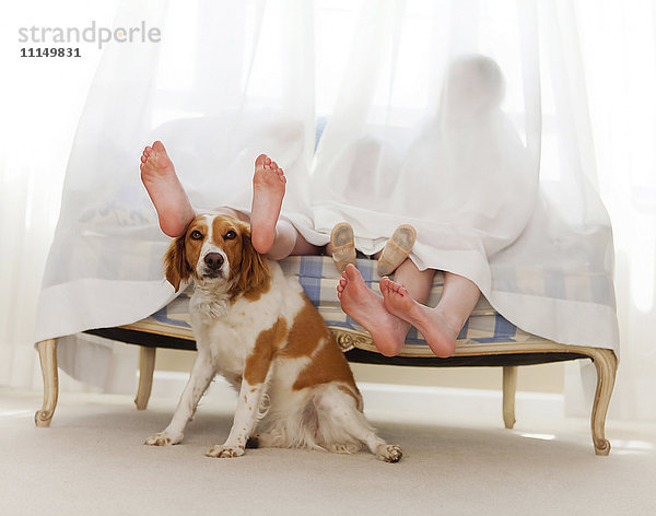 Nackte Füße der Familie hinter einem Vorhang mit Hund